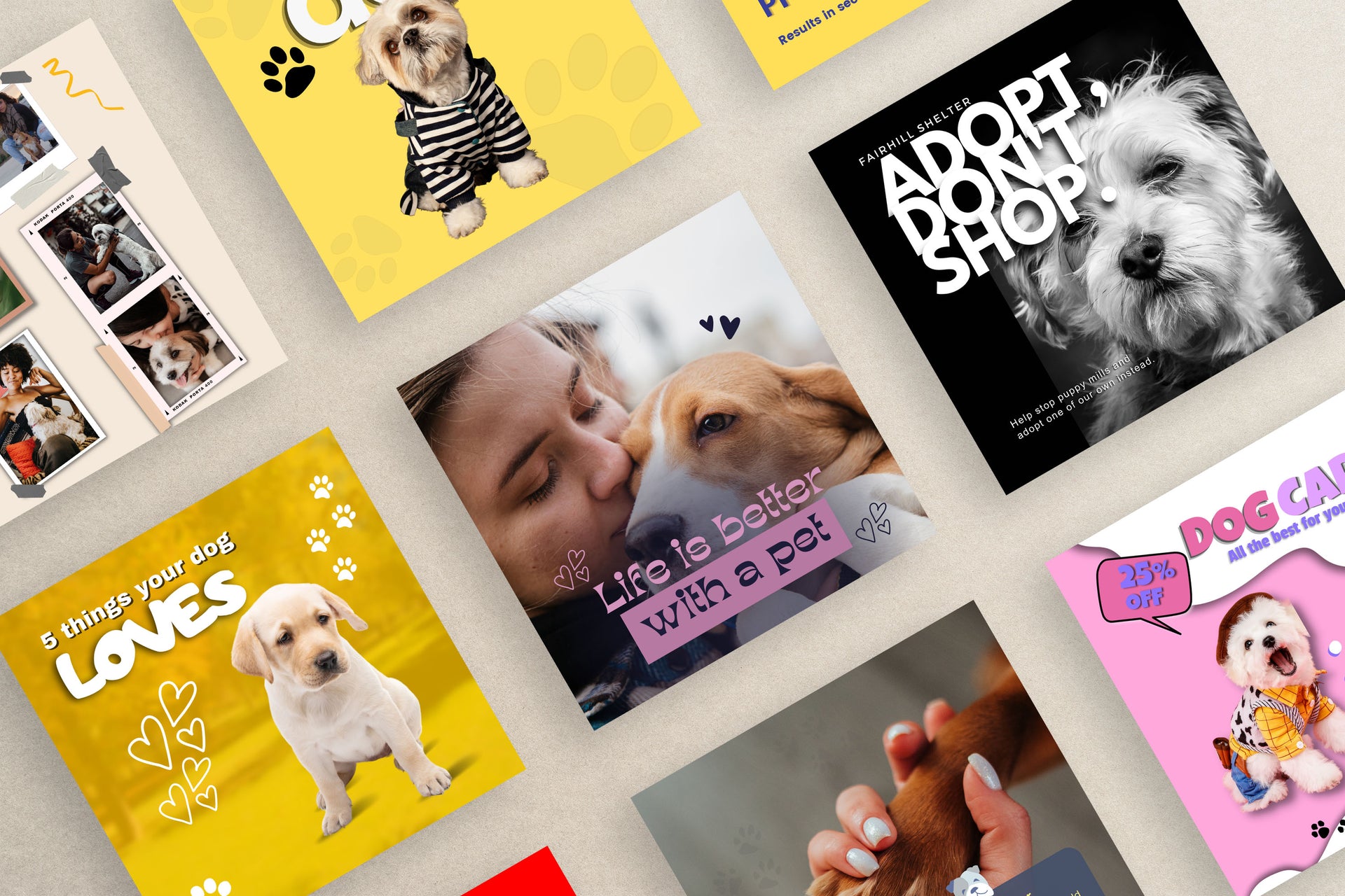 Dog pet | Instagram Template with PLR Rights | Editable in Canva | Customizable | Digital Download | Printable